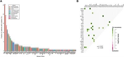 Clinical and Genetic Characteristics of IKZF1 Mutation in Chinese Children With B-Cell Acute Lymphoblastic Leukemia